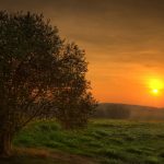 How to Plan the Ultimate African Adventure